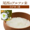 尾西食品 アルファ米 白がゆ 単品 1袋