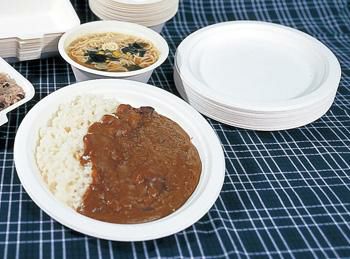 環境に優しい〈エコ容器シリーズ〉　大皿（50枚組）　[4197]