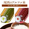 アルファ米 おかゆ2種類 10袋 非常食セット 尾西食品