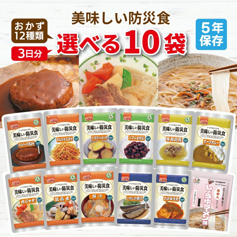 美味しい防災食 3日分 選べる 10袋 非常食セット
