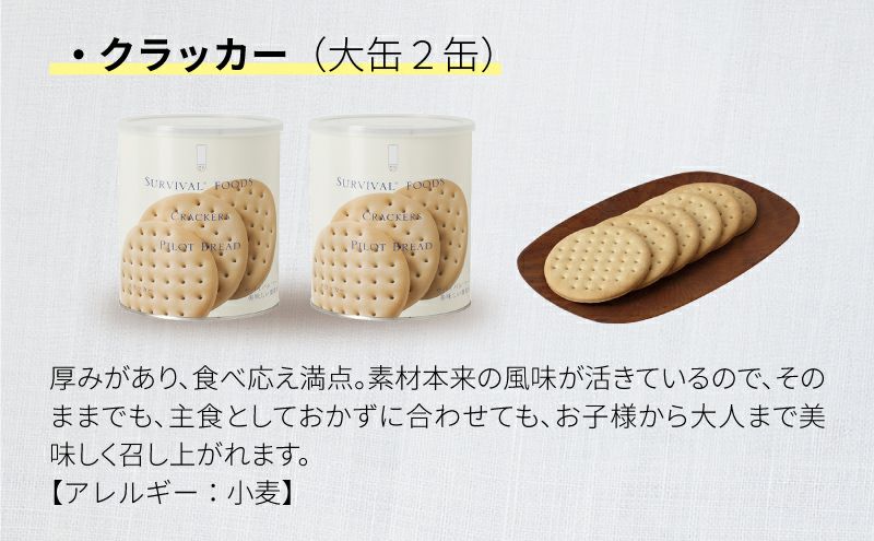 サバイバルフーズ 洋風とり雑炊