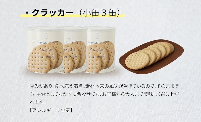 ファミリーセット（カレー&シチュー） 小缶 4種類6缶入