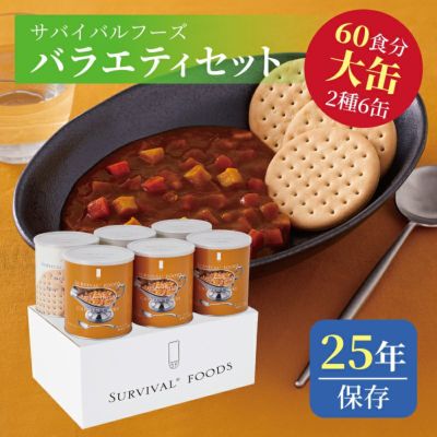 バラエティセット（チキンカレー） 大缶 2種類6缶入