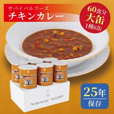 チキンカレー 大缶 6缶入