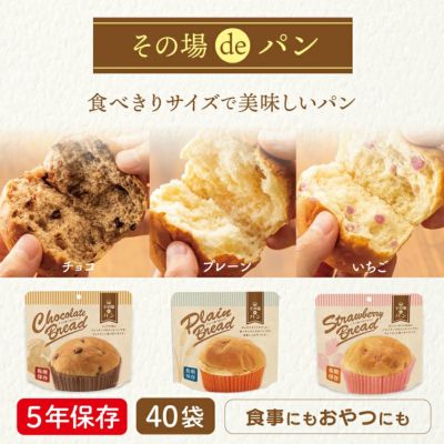 その場deパン 40食 | プレーン チョコ いちご 